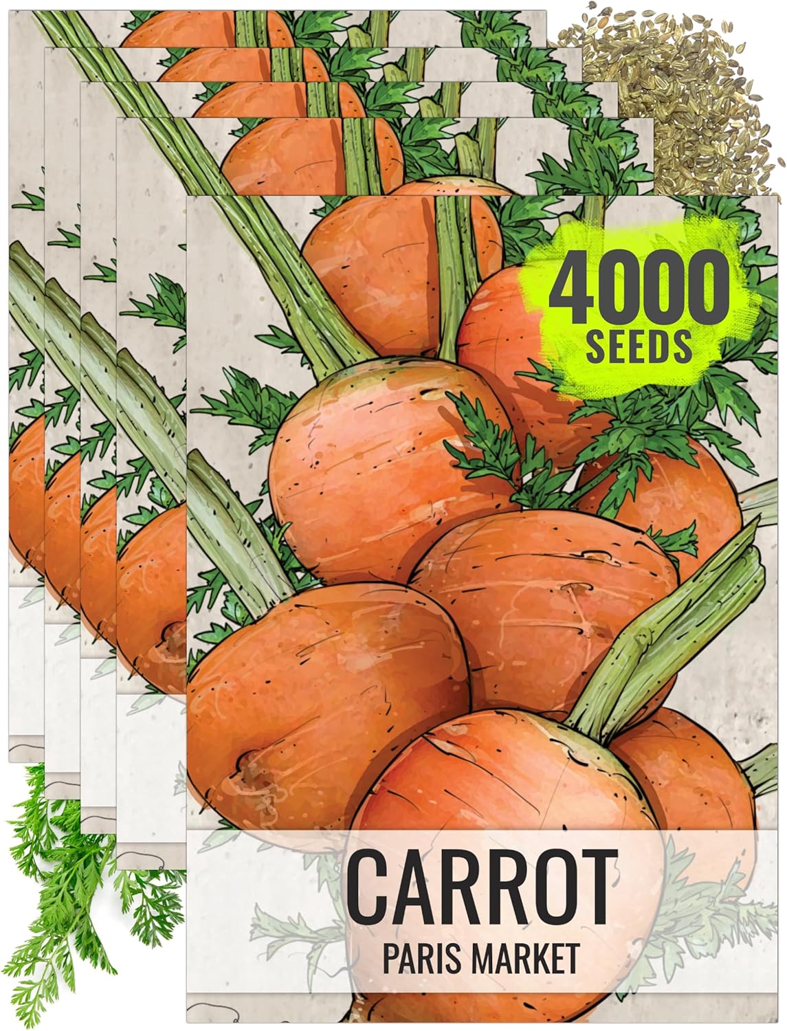 (5 Packs) Seed Needs Carrot Seeds for Planting Paris Market Carrots - Non-GMO Heirloom & Untreated Annual Cool Weather