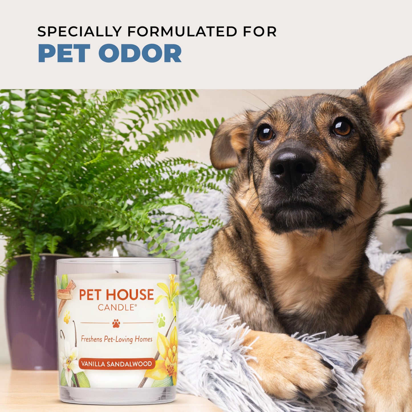 One Fur All Pet House Candle Plant-Based/Soy - Clean Burning Scented, Long Lasting Pet Odor Candle for Home - Moonlight