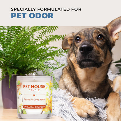 Pet House Candles, Plant-Based Pet Candle Clean Burning, 60 Hour Burn Time with a Natural Fiber Wick - Bamboo Watermint