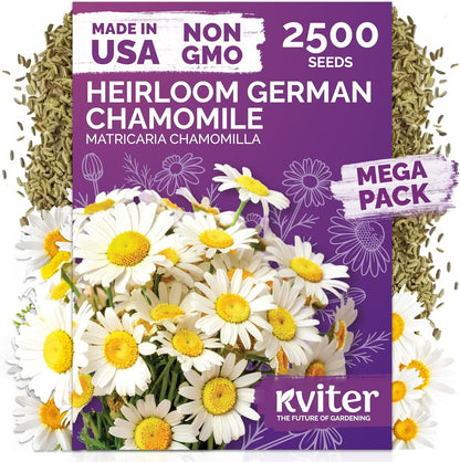 2,500 KVITER German Chamomile Seeds for Planting (Matricaria Chamomilla/Recutita) Heirloom & Non-Gmo Medicinal Herb