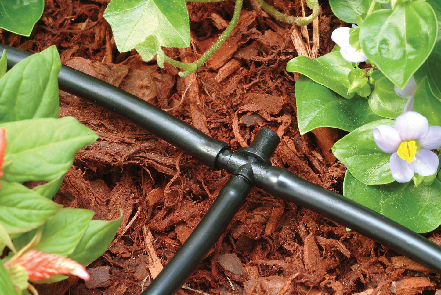Rain Bird DRIPPAILQ Drip Irrigation Repair and Expansion Kit,Green