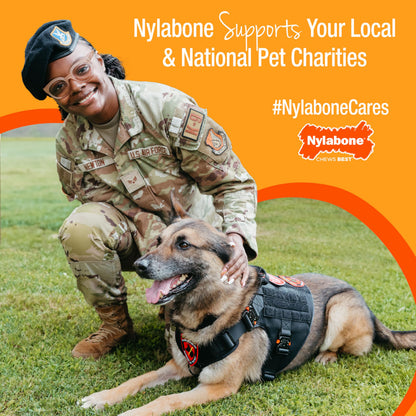Nylabone Healthy Edibles Natural Dog Chews Long Lasting Roast Beef Flavor Treats for Dogs, Small/Regular (2 Count)