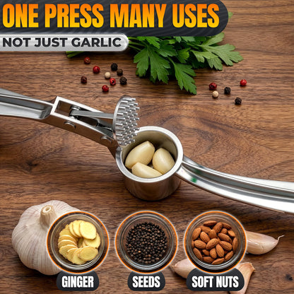 Stainless Steel Garlic Press - Ginger Mincer with 37 Built-In Studs for Maximum Extraction, for Garlic, Ginger and Soft Nuts - Ergonomic Handle, Dishwasher Safe and Rust-Resistant, No Peel Needed