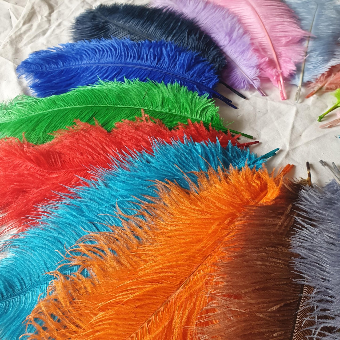 Lamar 20Pcs 12-14'' Blue Ostrich Feathers for Decoration, Wedding Centerpieces, Crafts, Festival, Party, Carnival, Floral Arrangement, Bohemian Home Decor (Royal Blue)