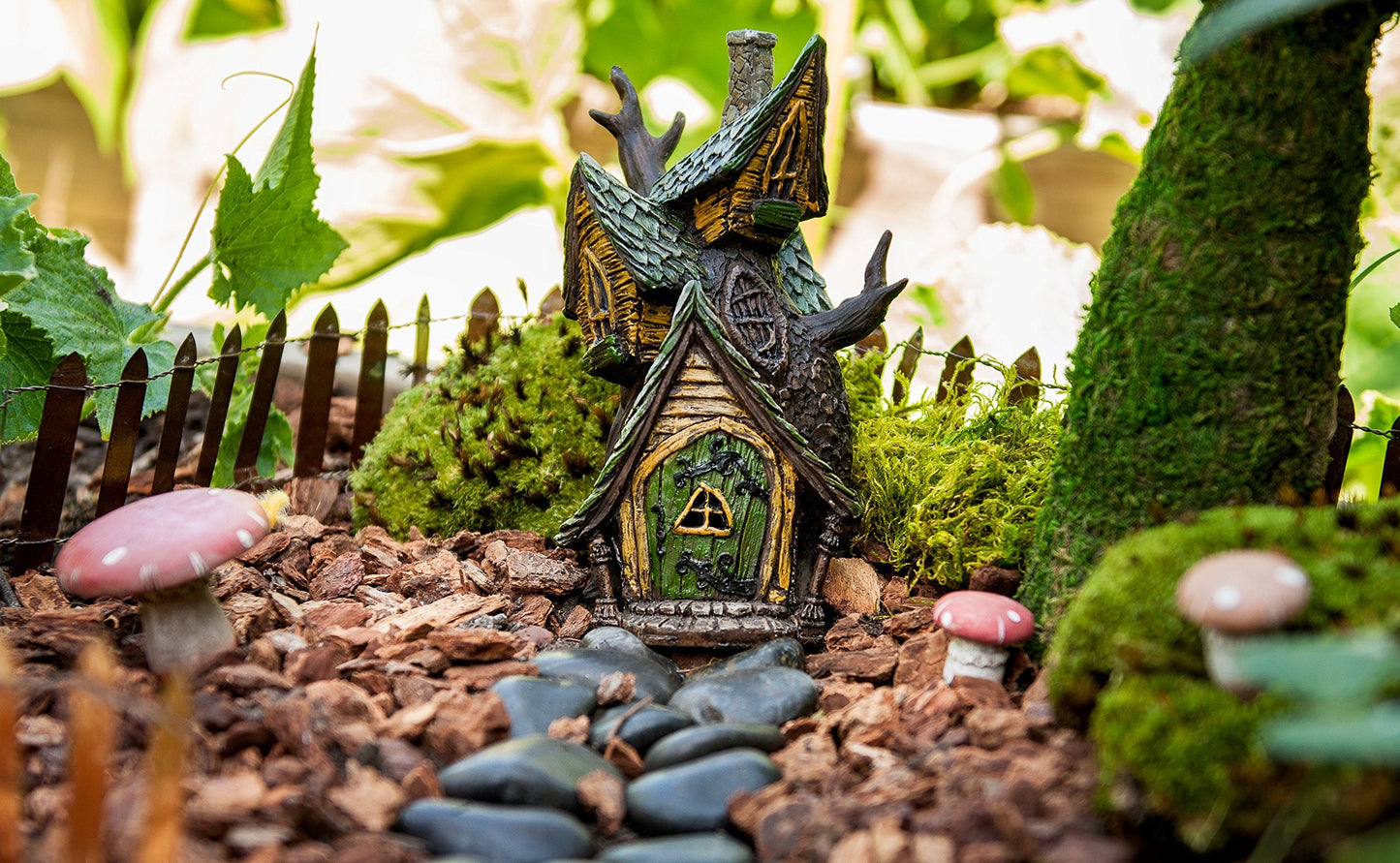 SuperMoss (50310) Fairy Garden Kit, Mixed Mosses, 4 oz., Multicolor
