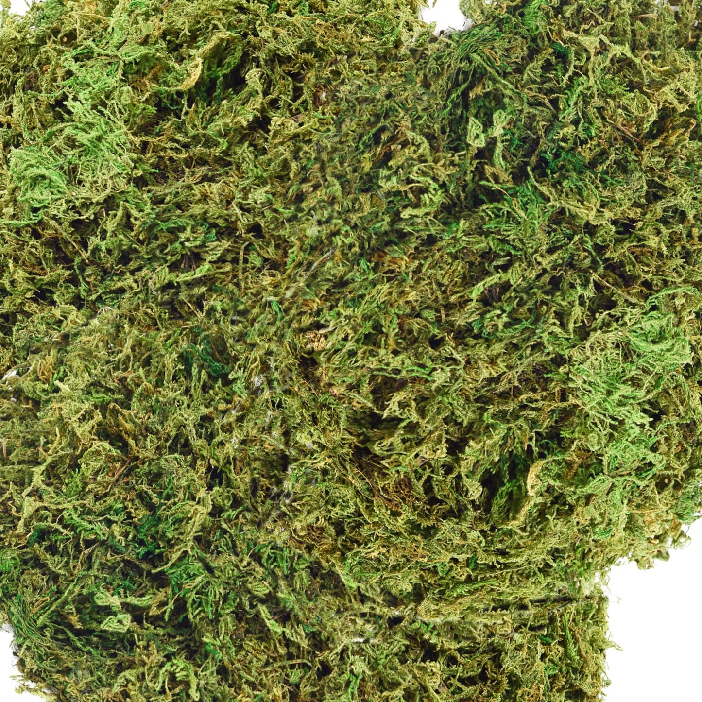 ZYAPA 35 OZ Moss for Potted Plants Fake Moss for Fake Plants,Artificial Moss for Crafts,Faux Moss for Fake Plants Decroative Moss Artificial Green Moss