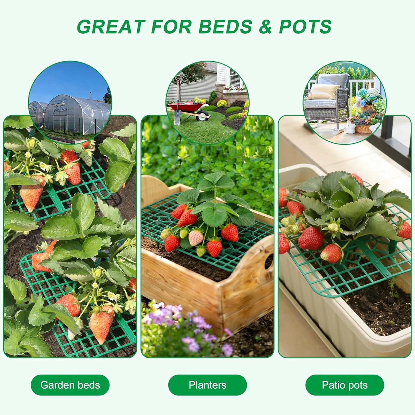 10 Pack, Strawberry Plant Support, Raised Grid Stand to Keep Strawberries Off the Ground, Strawberry Holder for Garden