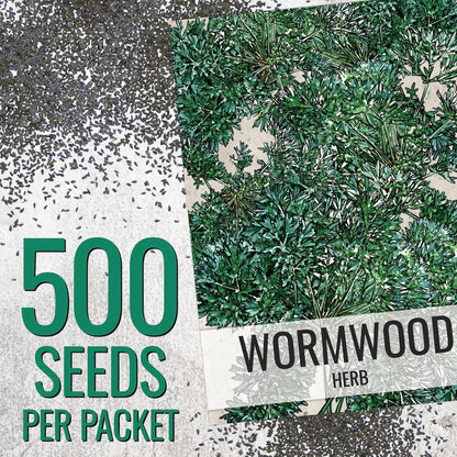 (1 Pack) Seed Needs Wormwood Seeds for Planting - Non-GMO, Heirloom & Untreated Perennial Herb - Medicinal Herbs