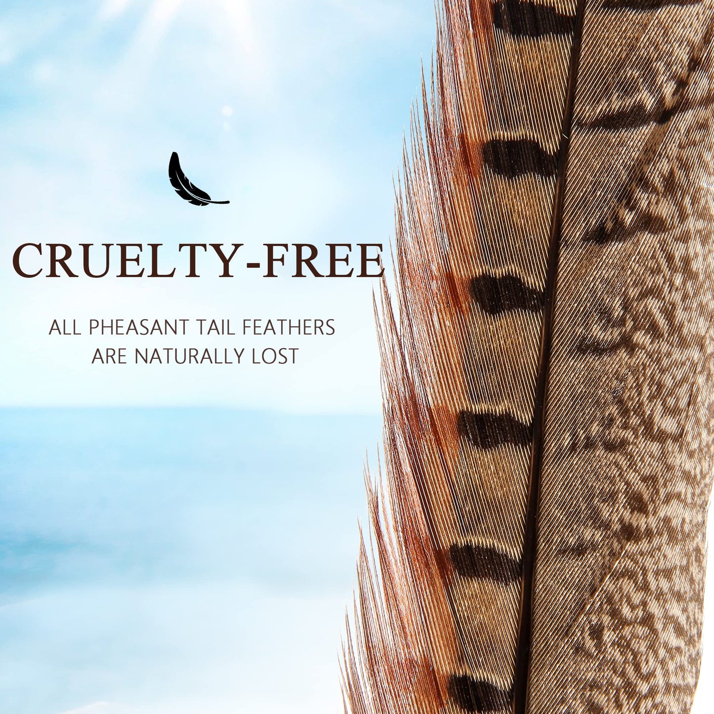 20pcs Male Pheasant Feather Natural Ringneck Tails Feathers 12-14inch 30-35cm for Crafts Home Wedding Party Performance DIY Decoration Pheasant Feather,Male Pheasant Feathers