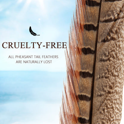 20pcs Male Pheasant Feather Natural Ringneck Tails Feathers 12-14inch 30-35cm for Crafts Home Wedding Party Performance DIY Decoration Pheasant Feather,Male Pheasant Feathers