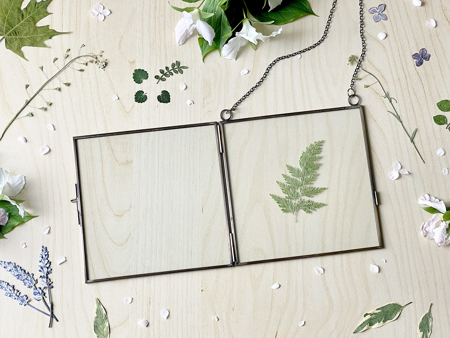 Beedecor Glass Frame for Pressed Flowers, Leaf and Artwork - Hanging Square Metal Picture Frames, Clear Double Glass Floating Frame, Wall Decor Photo Display, Set of 2 Flower Press Frames with Chain