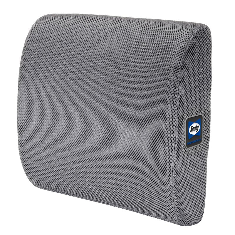 Sealy Ergonomic Lumbar Support Pillow for Office Chair and Car Seat - Memory Foam Back Support Lumbar Pillow, Premium Cushion Chair Support for Lower Back Pain Relief and Versatile Use (Gray)