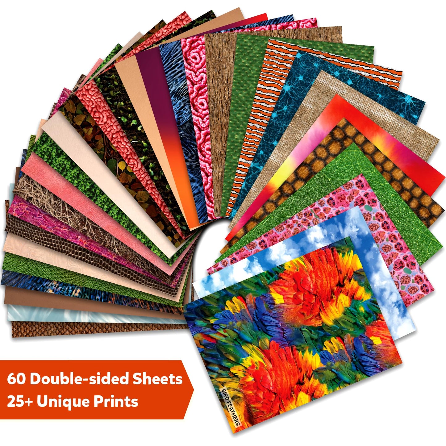 Skillmatics Life Science Construction Paper for Kids - 60 Double-Sided Printed Sheets (9x12), Patterned Craft Paper for Art Projects, Science Activities, DIY Crafts, Scrapbooking & School Supplies