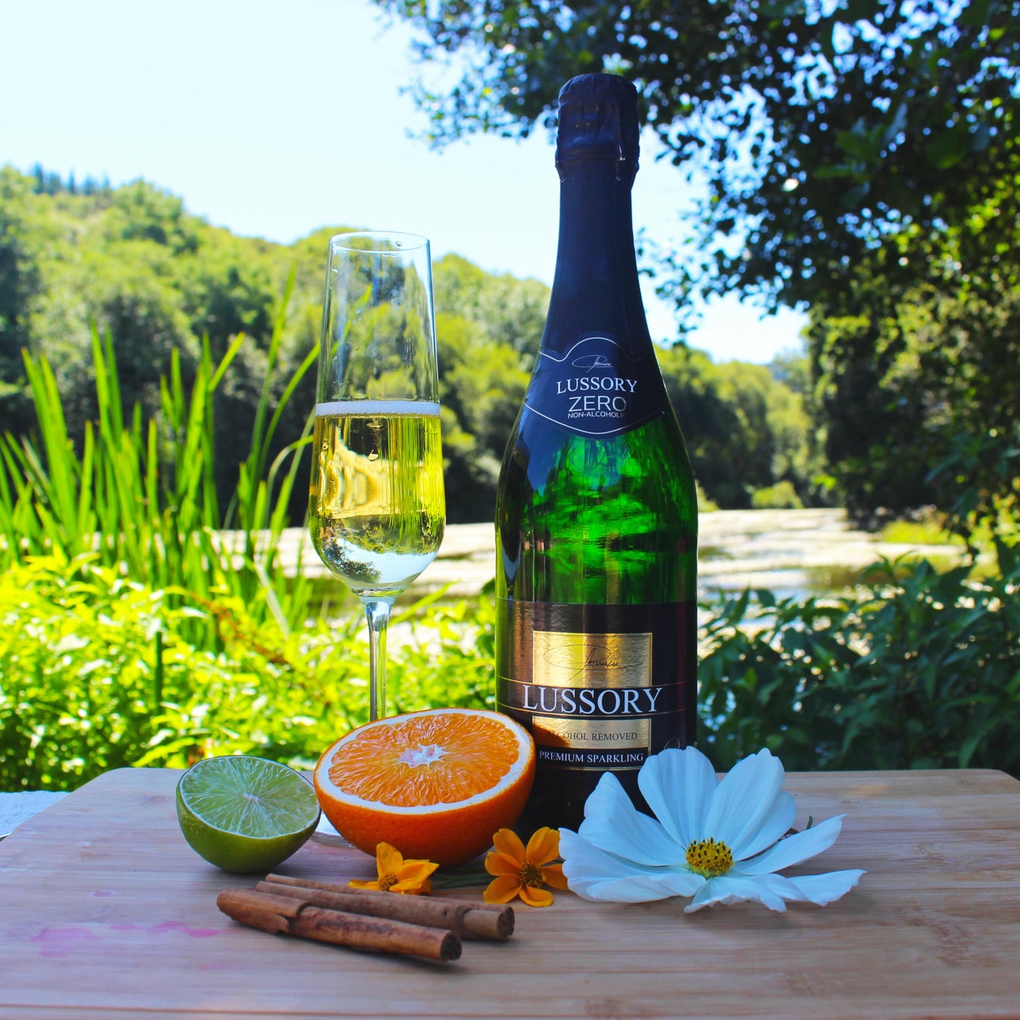 Lussory Premium Sparkling Brut Dealcoholized 0.0% Non Alcoholic Wine Bubbly From Spain, Low Calories, Low Sugar, Halal (750ml, 1 Bottle)