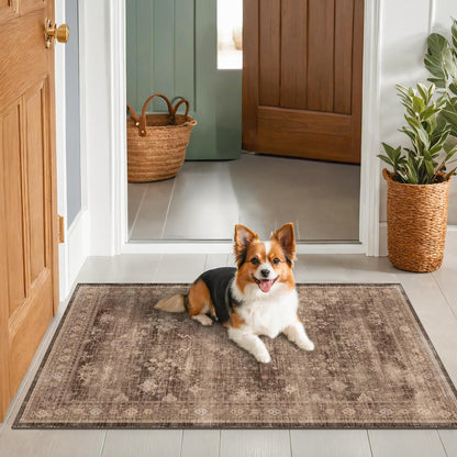 Boho Taupe Brown 3x5 Area Rug - Washable Low Pile Non-Slip Design for Entryway, Kitchen & Laundry
