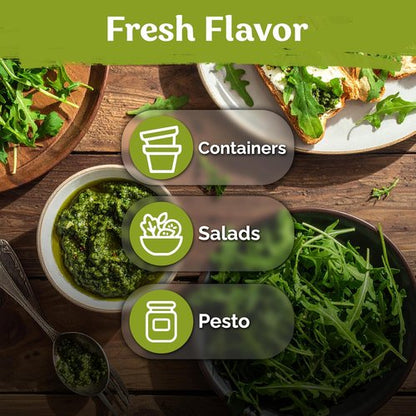 KVITER 2500 Roquette Arugula Seeds - Organic Non-GMO Perennial Herb Seeds for Indoor & Outdoor Gardens