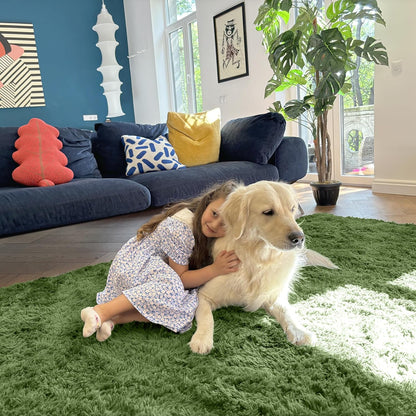 OLANLY Large Area Rug - Soft Fluffy Shaggy Indoor Carpet for Living Room & Bedroom | 5x8, Green