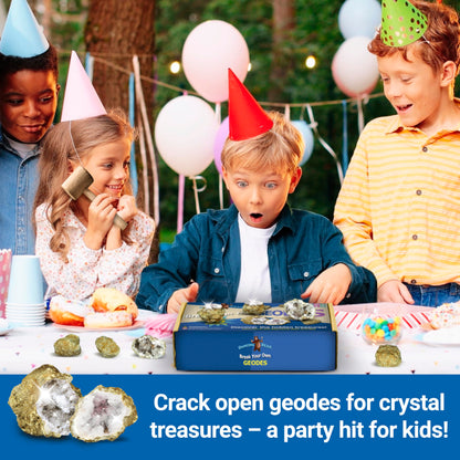 DANCING BEAR 25 Break Your Own Geodes, (Medium 1-1.5") 90% Hollow, Crack Open & Discover Amazing Surprise Crystals Inside! Educational Info and Instructions Included, Fun Party Favors & Prizes