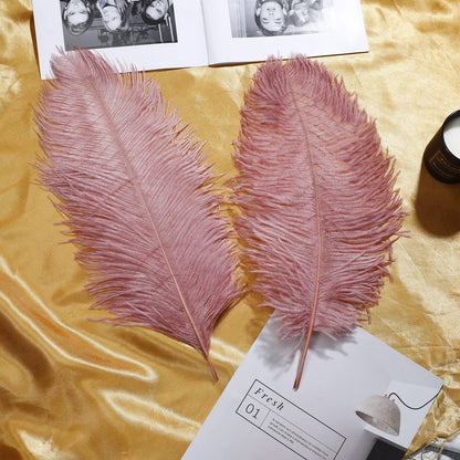 Larryhot Pink Ostrich Feathers Bulk- 16-18 inch 10pcs Feathers for Cfafts,Wedding Party Centerpieces, and Home Decorations (Lotus Pink)