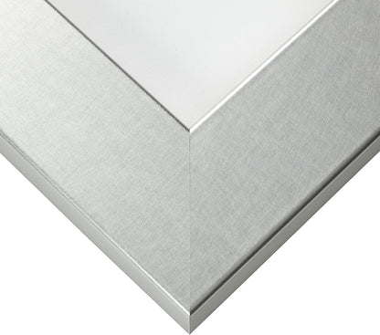 Craig Frames Bauhaus 200 Picture Frame, 10 x 12 Inch, Brushed Silver