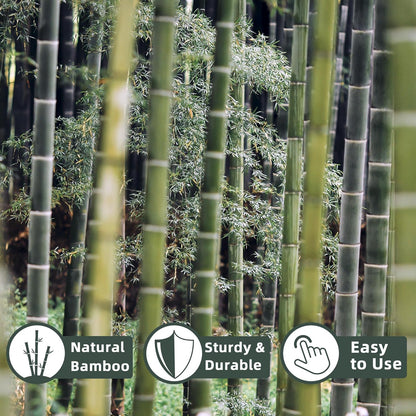 Bamboo Plant Stakes - 50 Pcs 2ft Garden Support Sticks for Indoor/Outdoor Plants | Ideal for Tomatoes, Vegetables, and Climbing Plants