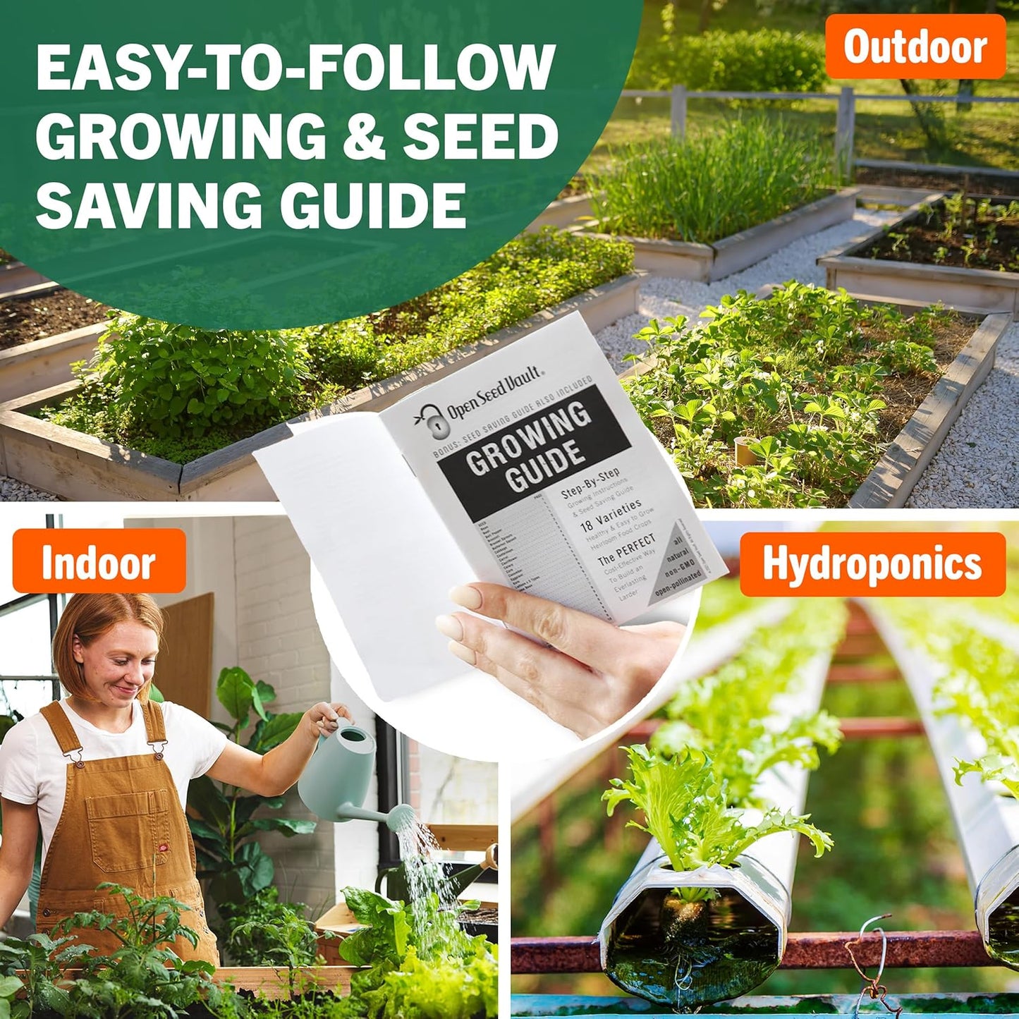 |15,000 18 2026 Open Seed Vault Heirloom Seeds | Seed Types | Survival Seeds | Season | Non GMO Vegetable and Fruit