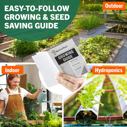 |15,000 18 2026 Open Seed Vault Heirloom Seeds | Seed Types | Survival Seeds | Season | Non GMO Vegetable and Fruit