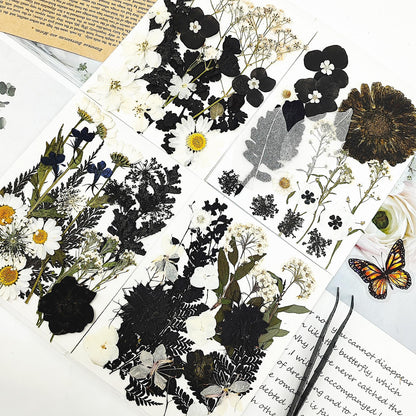MIKIYA 84Pcs Black Dried Pressed Flowers for Resin Molds, Bulk Real Natural Dry Floral for DIY Art Crafts, Epoxy Jewelry, Candle, Soap Making, Nails Decor, Phone Case