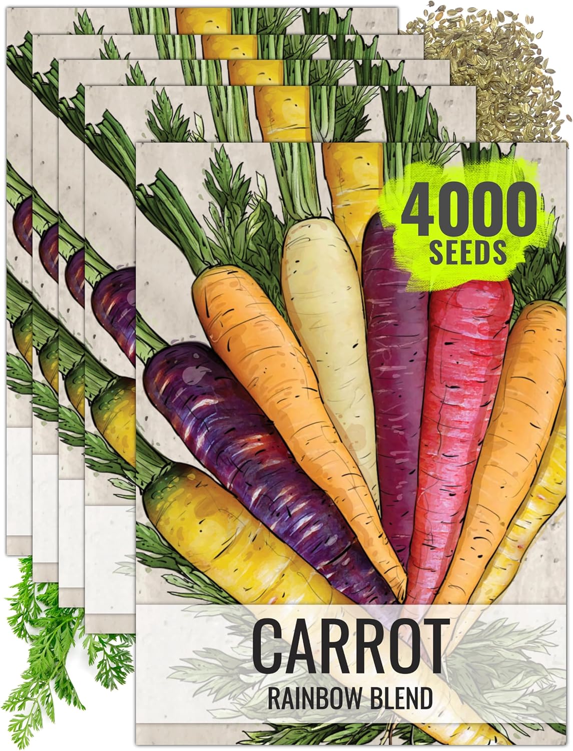 (5 Packs) Seed Needs Carrot Seeds for Planting Rainbow Carrots - Non-GMO Heirloom & Untreated Veggie Seed to Grow a