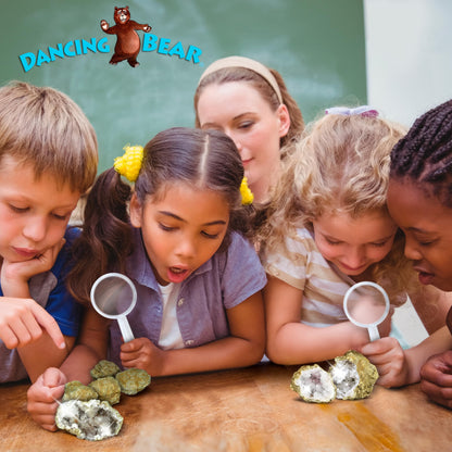 DANCING BEAR 25 Break Your Own Geodes, (Medium 1-1.5") 90% Hollow, Crack Open & Discover Amazing Surprise Crystals Inside! Educational Info and Instructions Included, Fun Party Favors & Prizes