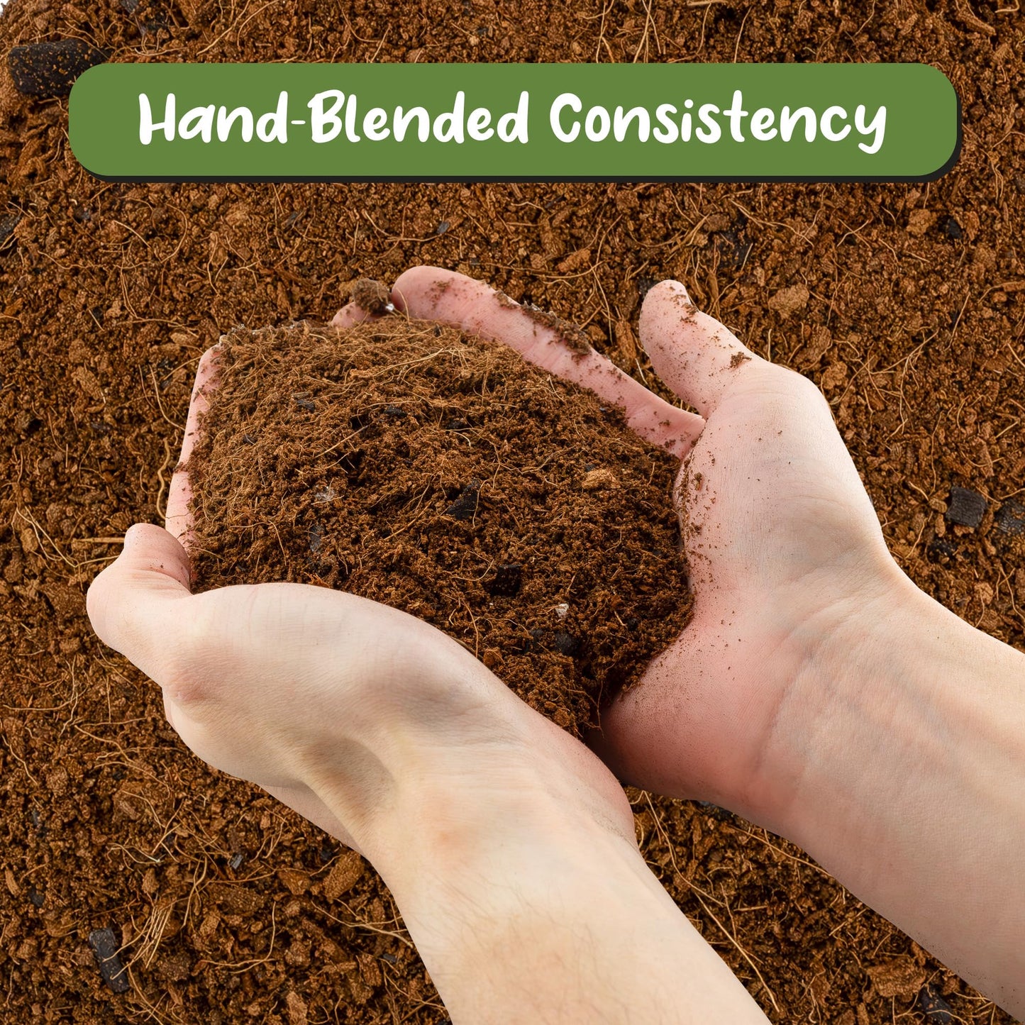 Soil Sunrise Terrarium Potting Soil Mix (4 Quarts) w/Blended Filtering Charcoal Custom Made for Terrariums