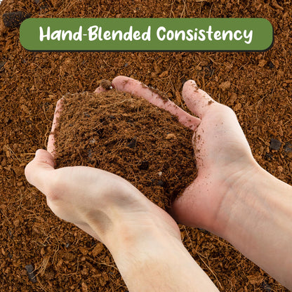 Soil Sunrise Terrarium Potting Soil Mix (4 Quarts) w/Blended Filtering Charcoal Custom Made for Terrariums