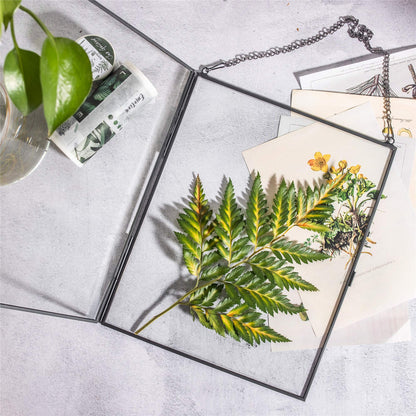 NCYP Hanging 8" x10" Black Glass Floating Frame for Pressed Dried Flower, Certificate, Photo, Picture - Modern Home Indoor Wall Vertical Decor, Plant Specimen Clip (Glass Frame Only)