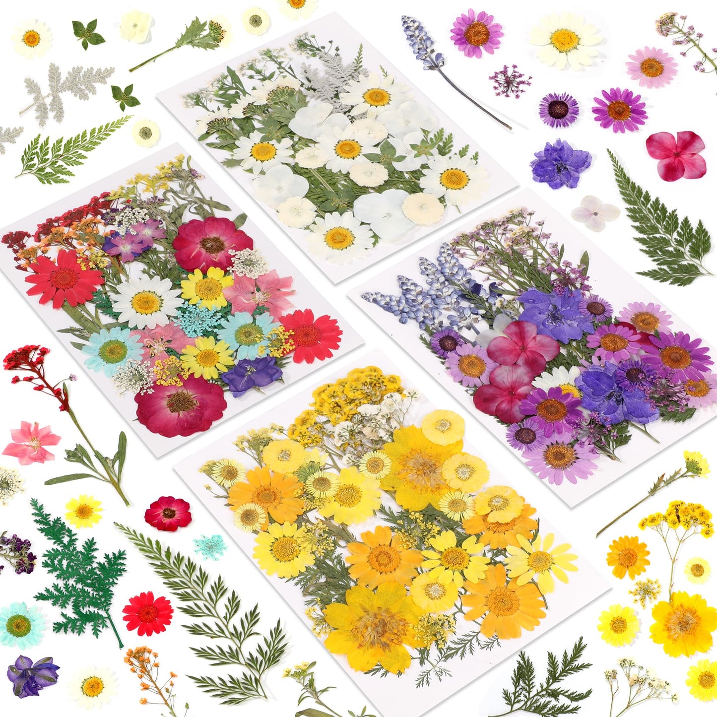 Botanical Pressed Flower Set – Real Dried Flowers & Leaves for Resin Art, Scrapbooking, Candle Making, and DIY Nature Crafts
