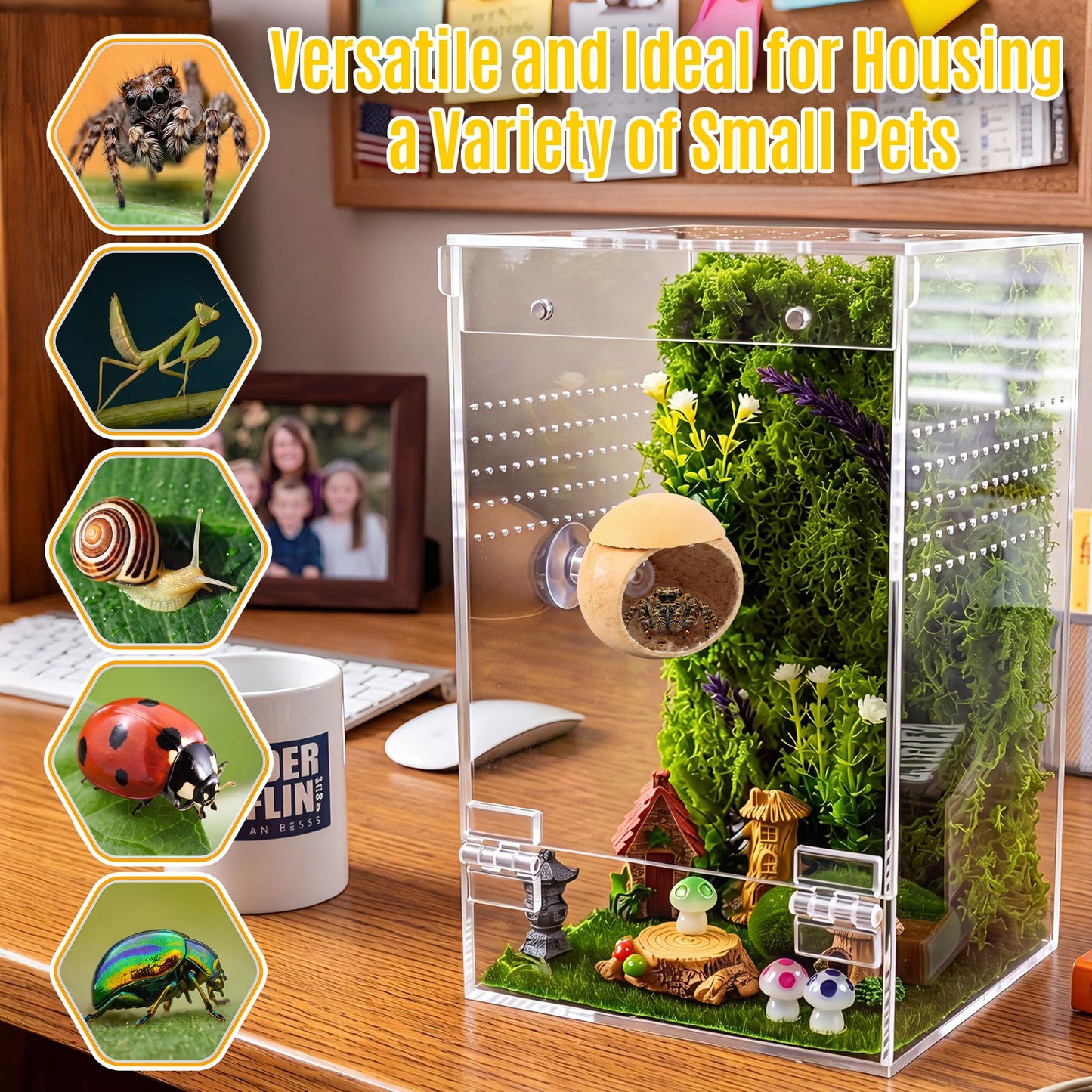 Feekoon Jumping Spider Enclosure Kit, Acrylic Insect Terrarium, Transparent Bug Habitat for Praying Mantis & Small Arboreal Species, Complete Starter Tank with Ventilation