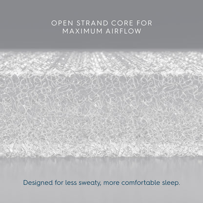 HALO DreamWeave Breathable Mesh BassiNest Pad – 100% Washable Cover and Core – Hypoallergenic, Non-Toxic Materials