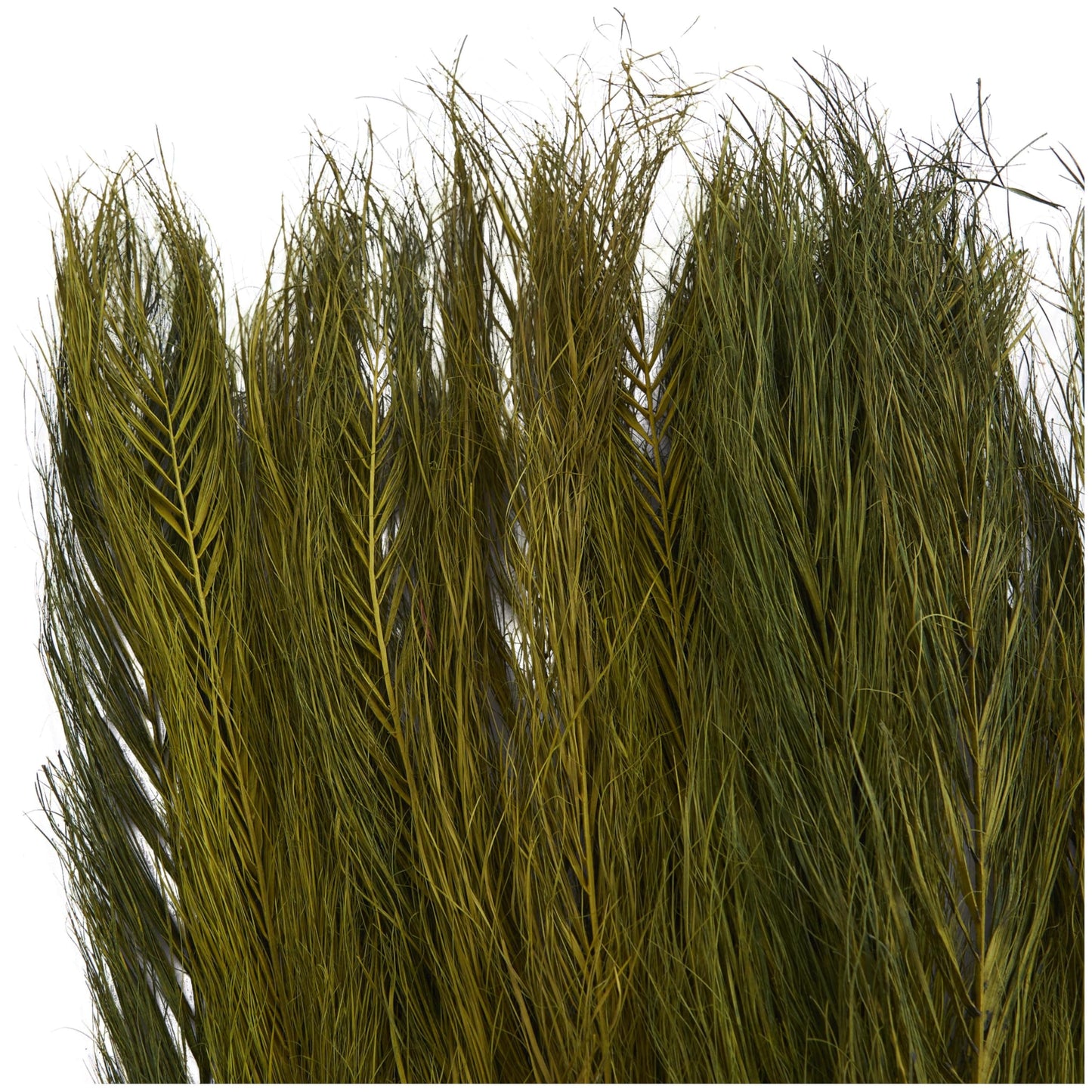 Deco 79 Dried Plant Leaves Home Decor Natural Foliage Natural Dried Foliage with Feather Inspired Stems, Foliage for Decoration 4" x 1" x 35", Green