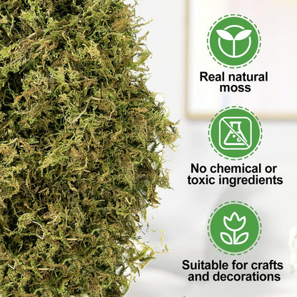 Alphatool 35oz Jumbo Pack Natural Green Moss for Crafts - Bulk Moss for Plants Indoor, Artificial Fairy Gardens, Mosswall, Filling Fake Plants, Floral Design, Home Decoration, Professional DIY Use