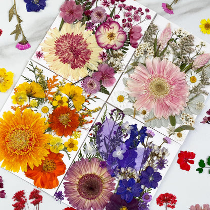 MIKIYA 98Pcs Pressed Dried Flowers for Resin Molds, Real Natural Bulk Big Dry Floral Leave for DIY Art Crafts, Epoxy Jewelry, Candle, Soap Making, Nails Decors