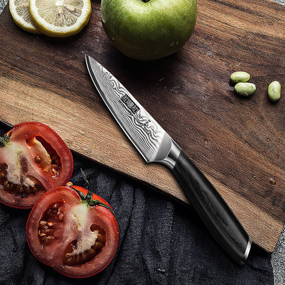 HOSHANHO Paring Knife 3.75 Inch, High Carbon Powder Steel Forged Small Kitchen Knives, Razor Sharp Japanese Fruit Knife with Ergonomic Pakkawood Handle