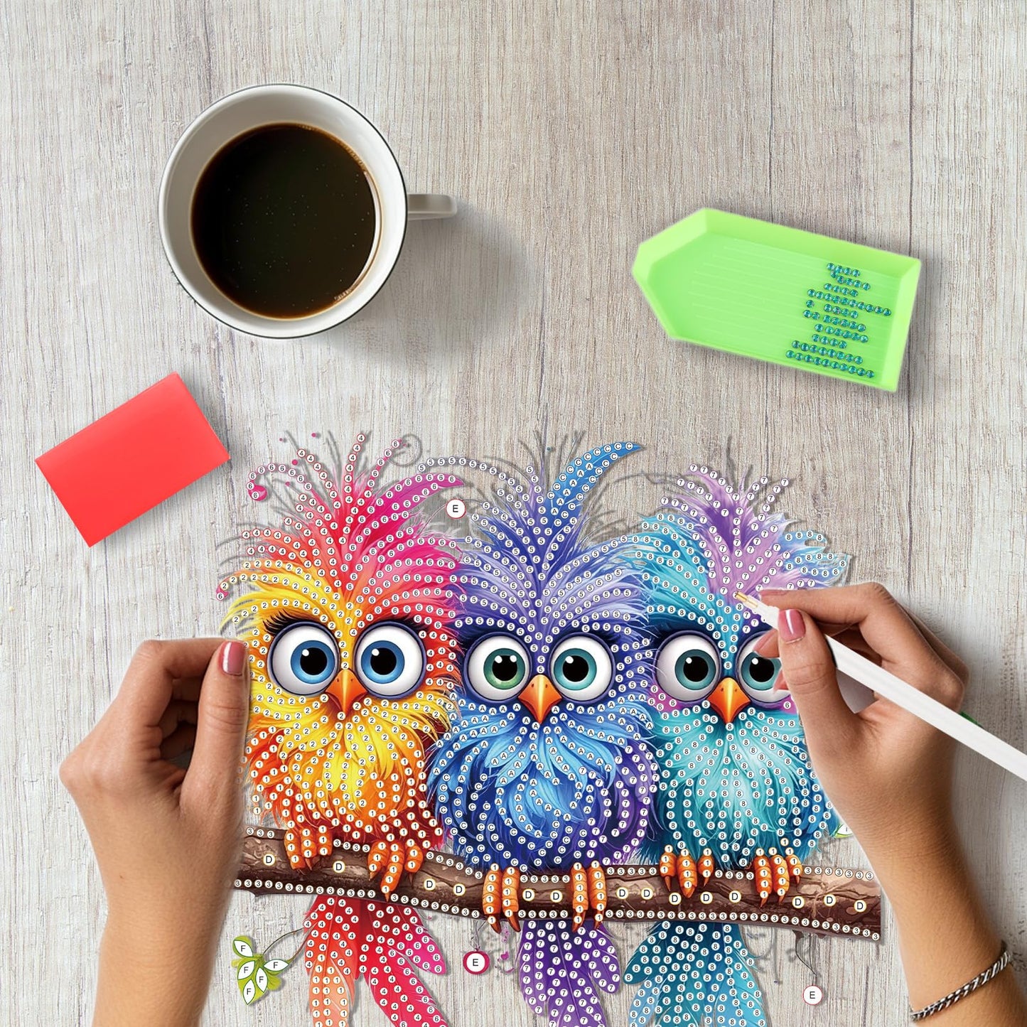SENQAO Bird Diamond Art Hanging Kits for Adults Kids, Double Sided DIY Acrylic Diamond Art Painting Window Pendants Home Garden Wall Hanging Kits Hanging Ornament