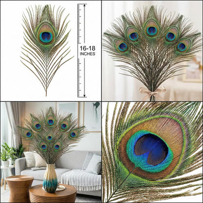 Lamar Peacock Feathers Bulk 16-18 Inch 40 Pcs Long Feathers with Large Eyes – Ultimate Bundle for Tall Vases, Wedding Centerpieces, Home Decor, Costumes, and DIY Crafts