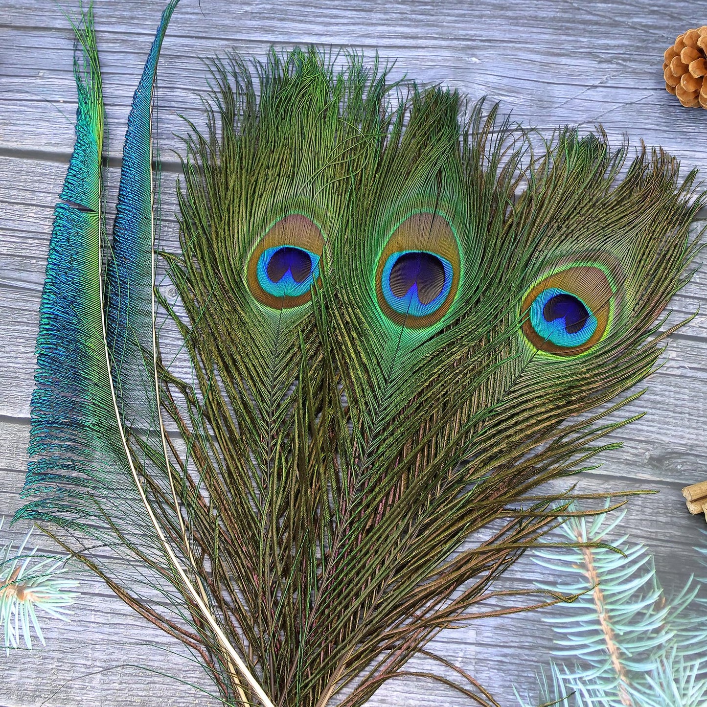 iHUFeather 20PCS Real Natural Peacock Feathers Peacock Swords 10-12 inch,for DIY Craft,Floral Arrangements,Wedding,Home and Party Decorations Feathers,Natural