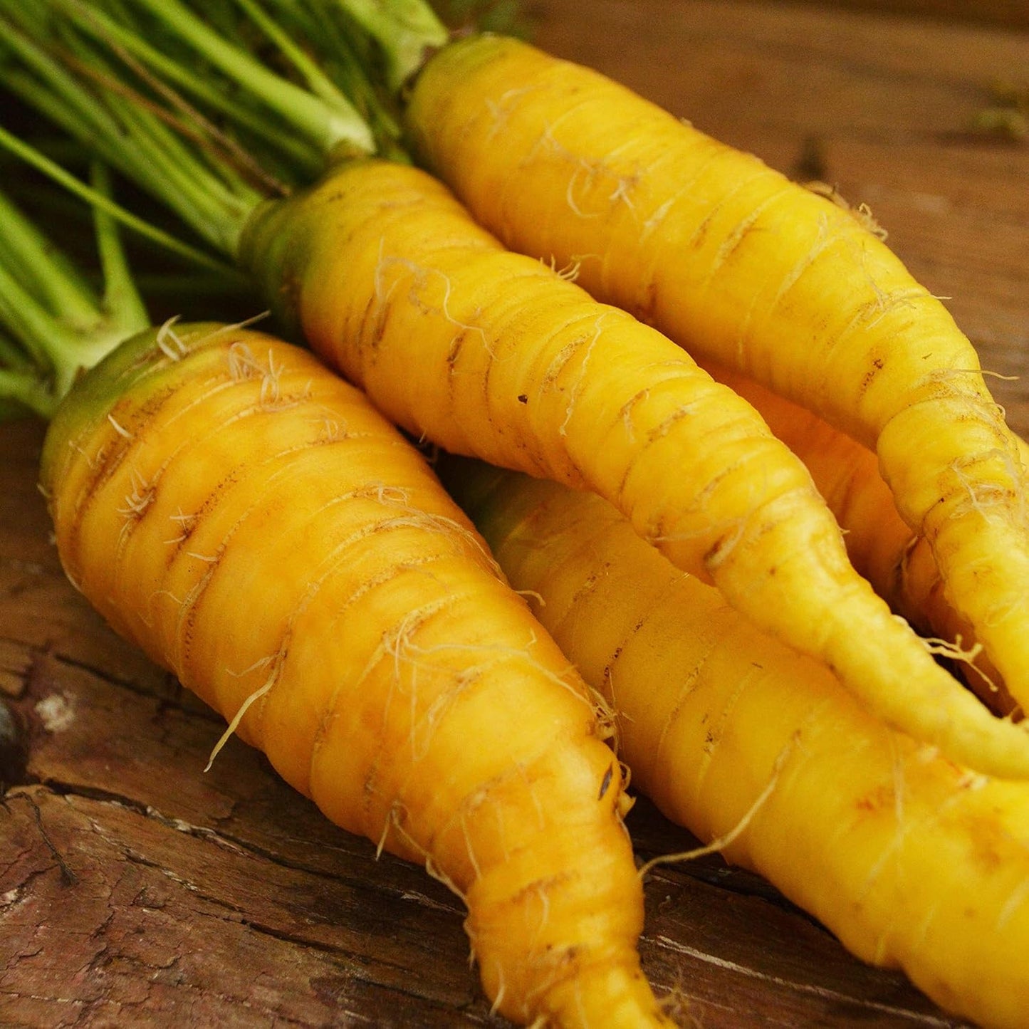150 Solar Yellow Carrot - Seeds - Heirloom & Open-Pollinated Variety, Non-GMO Vegetable Seeds for Planting Indoors