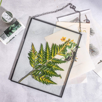 NCYP Hanging 8" x10" Black Glass Floating Frame for Pressed Dried Flower, Certificate, Photo, Picture - Modern Home Indoor Wall Vertical Decor, Plant Specimen Clip (Glass Frame Only)