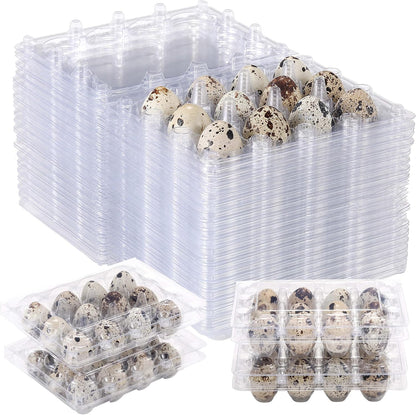 LayHyand 120 Dozen 3x4 12 Count Pcs Quail Egg Cartons, Square Egg Basket, Style Holds Up to Twelve Small Eggs Box, Bulk