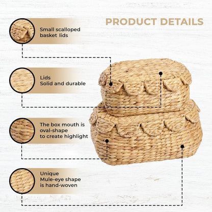 Set 2 LUSYDECO of Wicker Storage Baskets with Lid, Rattan Basket Decorative Boxes, Woven Storage Box Hyacinth Basket
