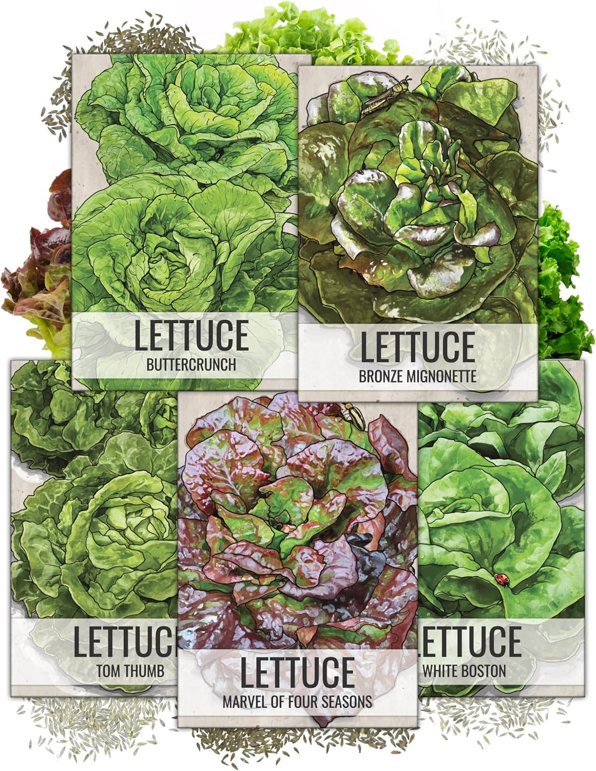 Pack 5 Packets 4 Seed Needs Butterhead Lettuce Seeds Variety for Planting a Collection of Individual Varieties