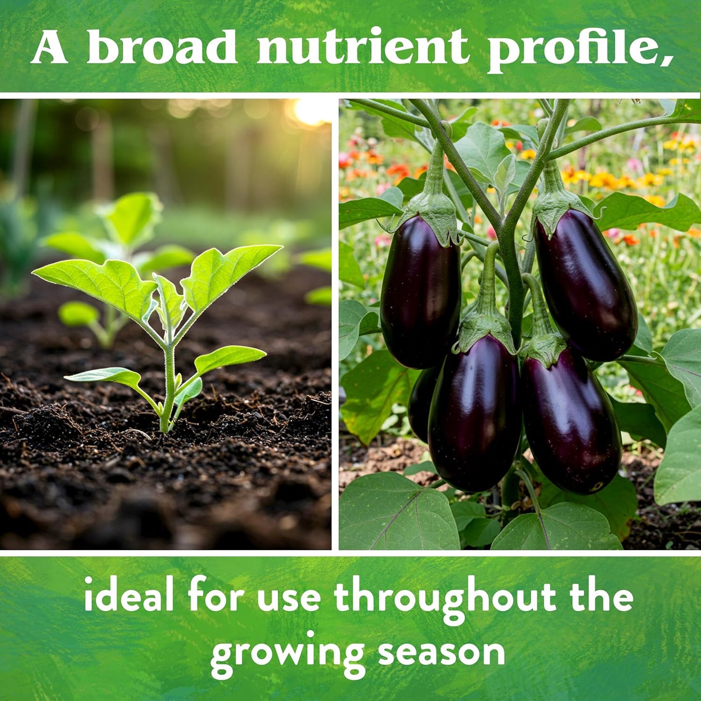 4-4-4, 15 lb Down To Earth All Natural Fertilizers Organic Vegetable Garden - Plant Food for Vegetables, Herbs, Greens