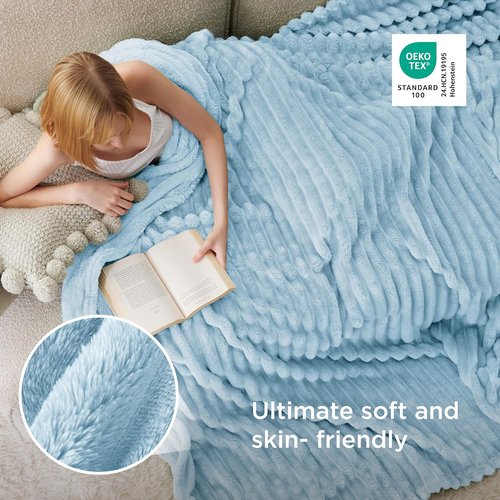 Bedsure GentleSoft Blue Full Blanket - Cozy Fleece Throw for Women | Light Blue, 84x90 Inches